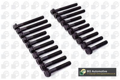 BGA BK5325 Болт ГБЦ  для LAND ROVER RANGE ROVER II (P38A) 4.0 4x4