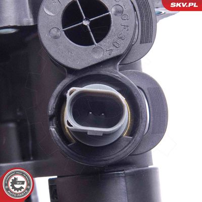 Termostatas, aušinimo skystis