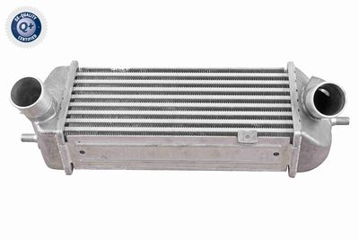 INTERCOOLER COMPRESOR ACKOJA A52600009
