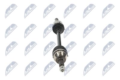 PLANETARA NTY NPWLR058 16