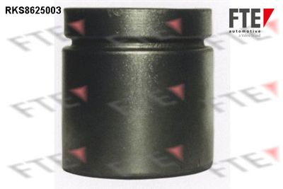 FTE RKS8625003 Ремкомплект тормозного суппорта  для FIAT PALIO (Фиат Палио)