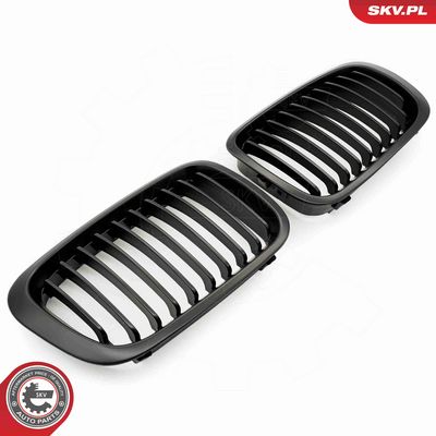 GRILA RADIATOR ESEN SKV 66SKV062 2