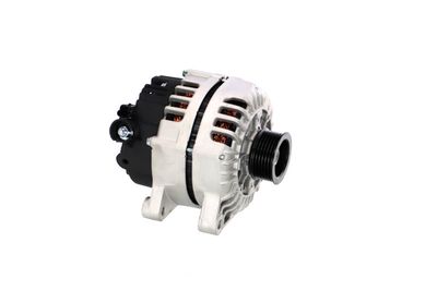 GENERATOR / ALTERNATOR REMANTE 011003000717R 49