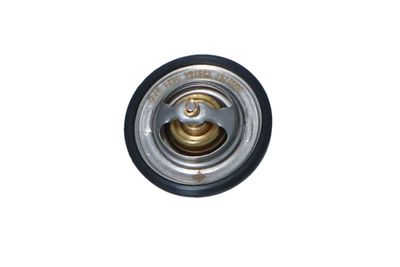 TERMOSTAT LICHID RACIRE NRF 725154 8