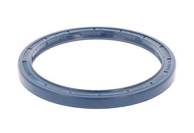 DICHTRING ACHSSCHENKEL