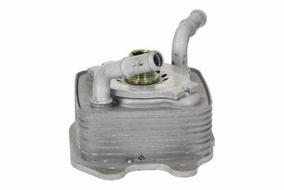 RADIATOR ULEI ULEI MOTOR ACKOJA A38600024 6