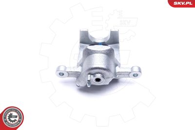 Brake Caliper 46SKV103