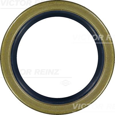 VICTOR REINZ Veleno sandariklis, alkūninis velenas