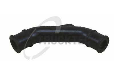 Žarna, karterio alsuoklis