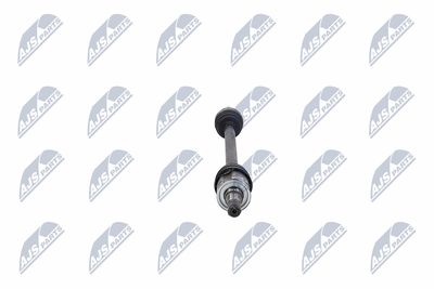 PLANETARA NTY NPWCH094 34