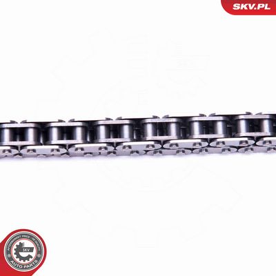 CHIT LANT DE DISTRIBUTIE ESEN SKV 21SKV131 2