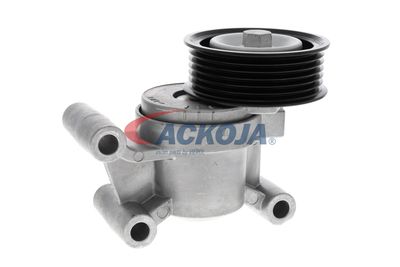 INTINZATOR CUREA CUREA DISTRIBUTIE ACKOJA A320602 33