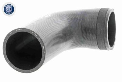 FURTUN EAR SUPRAALIMENTARE