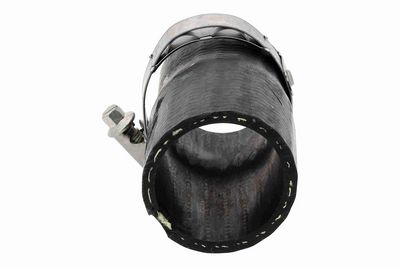 FURTUN EAR SUPRAALIMENTARE ACKOJA A520875 4