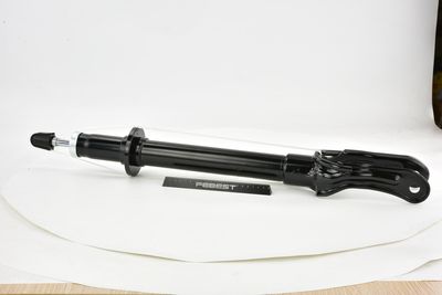 AMORTIZOR FEBEST 20110001F 4