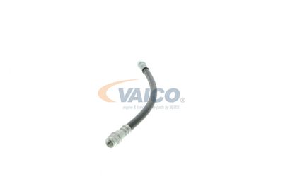 FURTUN FRANA VAICO V460535 24