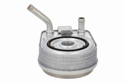 RADIATOR ULEI ULEI MOTOR ACKOJA A52600017 6