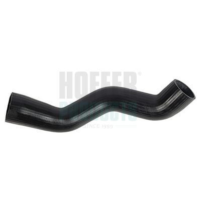 FURTUN EAR SUPRAALIMENTARE