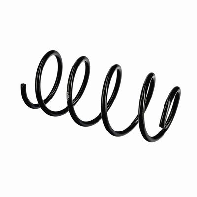 ARC SPIRAL EIBACH R11070 9