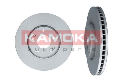 Brake Disc 1031070