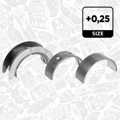 SET RULEMT ARBORE COTIT ET ENGINETEAM LH003525 1