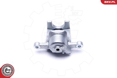 Brake Caliper 46SKV104