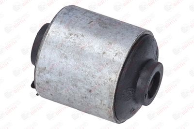 SUPORT TRAPEZ BIRTH 2109 5