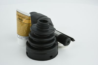 SET ARTICULATIE PLANETARA FEBEST 2011SEB 34