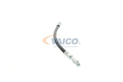 FURTUN FRANA VAICO V104127 46