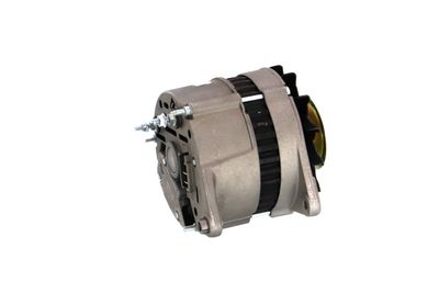 GENERATOR / ALTERNATOR REMANTE 011003000232R 38
