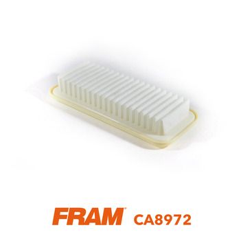 FRAM CA8972