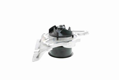 WASSERPUMPE MOTORKüHLUNG VAICO V1050087 9