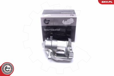 Brake Caliper 55SKV972