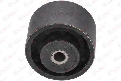 SUPORT MOTOR BIRTH 5610 1