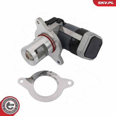 AGR-Ventil ESEN SKV 14SKV308