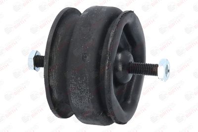SUPORT MOTOR BIRTH 5527 11