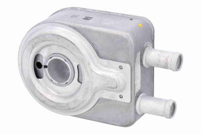 RADIATOR ULEI ULEI MOTOR ACKOJA A52600020 4