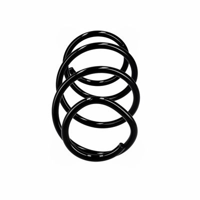 ARC SPIRAL EIBACH R10723 1