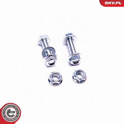 CATALIZATOR ESEN SKV 62SKV004 4