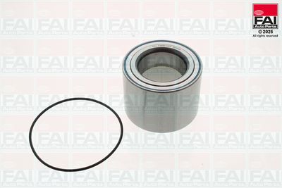 FAI AutoParts Rato guolio komplektas