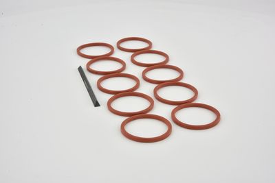 ETANSARE RACIRE ULEI FEBEST RINGOL066PCS10 12