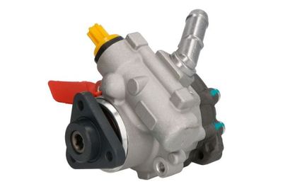 Pump, styrservo LAUBER 55.9969