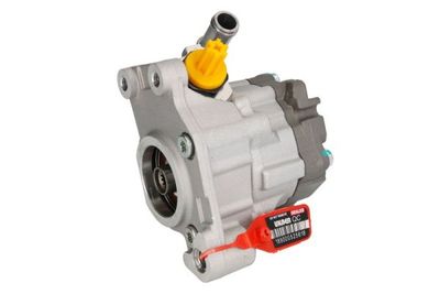 Pump, styrservo LAUBER 55.9966