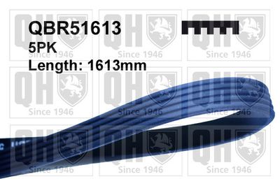 QUINTON-HAZELL QBR51613 Ремінь генератора  для SAAB 9000 (Сааб 9000)