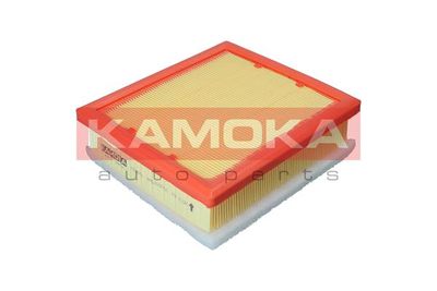 Air Filter F238001