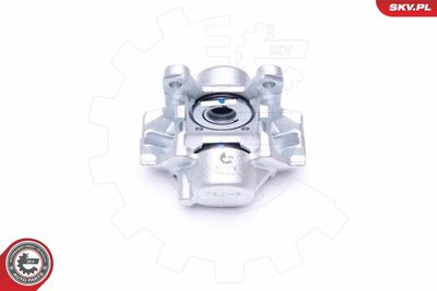 Brake Caliper 45SKV494