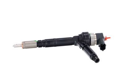 INJECTOR REMANTE 002003001094R 11