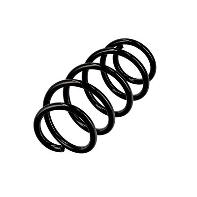 ARC SPIRAL EIBACH R10284 3