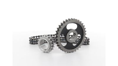 STEUERKETTENSATZ SKF VKML81008 22