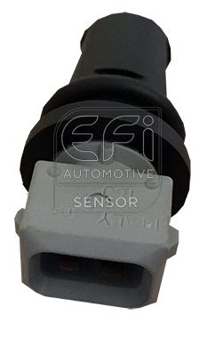 датчик, външна температура EFI AUTOMOTIVE 295196